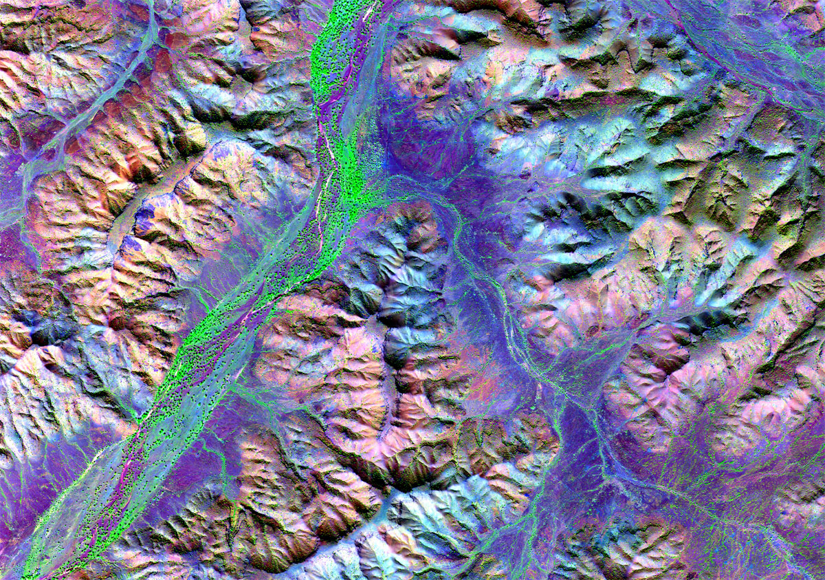 Image-1
